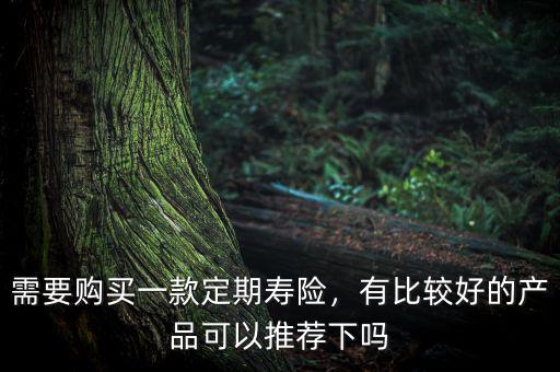 需要購買一款定期壽險，有比較好的產(chǎn)品可以推薦下嗎