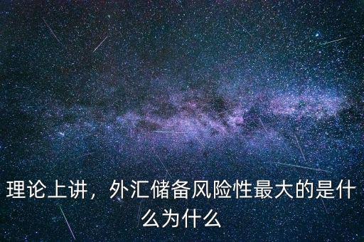 理論上講，外匯儲備風險性最大的是什么為什么