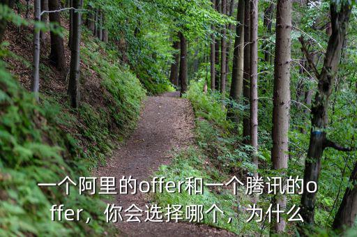 一個(gè)阿里的offer和一個(gè)騰訊的offer，你會(huì)選擇哪個(gè)，為什么