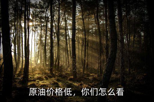 原油價格低，你們怎么看