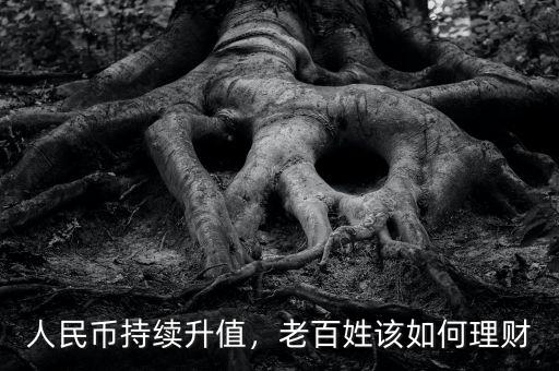 人民幣持續(xù)升值，老百姓該如何理財(cái)