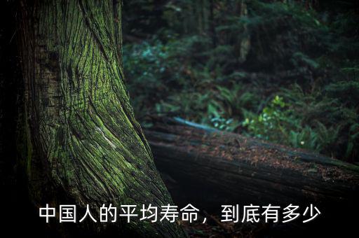中國人的平均壽命，到底有多少