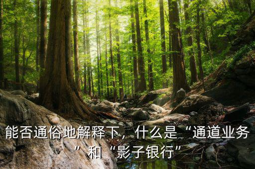 能否通俗地解釋下，什么是“通道業(yè)務(wù)”和“影子銀行”