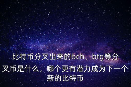 比特幣分叉出來的bch、btg等分叉幣是什么，哪個(gè)更有潛力成為下一個(gè)新的比特幣