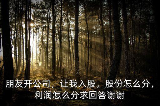 朋友開公司，讓我入股，股份怎么分，利潤怎么分求回答謝謝