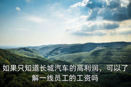如果只知道長城汽車的高利潤，可以了解一線員工的工資嗎