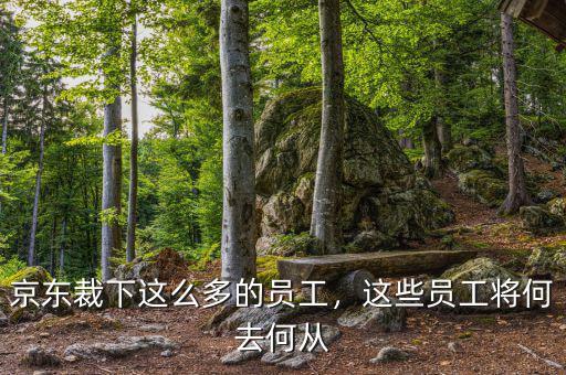 京東裁下這么多的員工，這些員工將何去何從