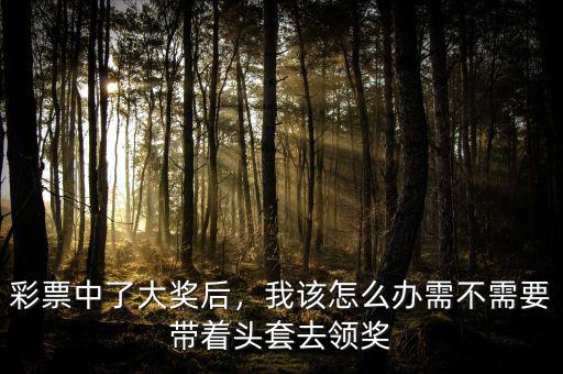 彩票中了大獎(jiǎng)后，我該怎么辦需不需要帶著頭套去領(lǐng)獎(jiǎng)