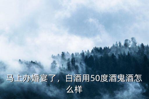 馬上辦婚宴了，白酒用50度酒鬼酒怎么樣