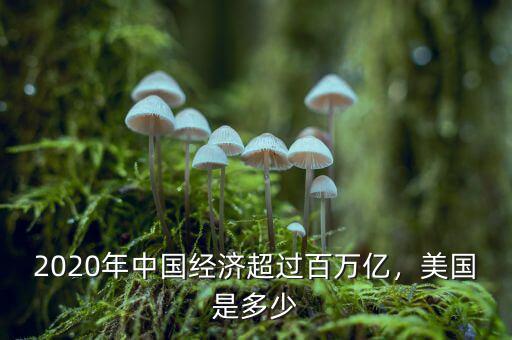 2020年中國經(jīng)濟(jì)超過百萬億，美國是多少