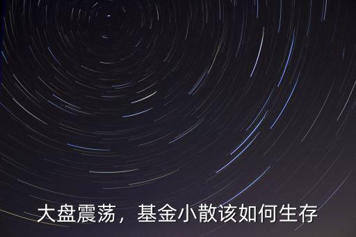大盤震蕩，基金小散該如何生存