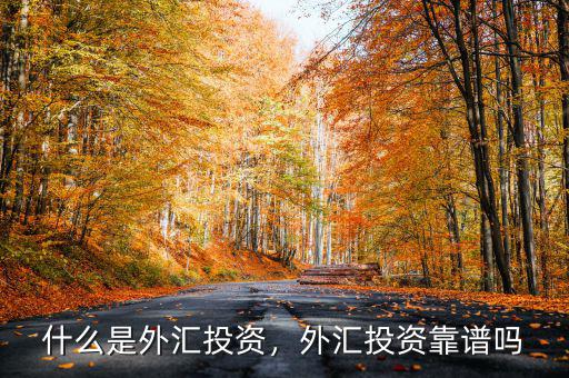 什么是外匯投資，外匯投資靠譜嗎