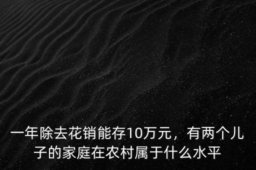 一年除去花銷能存10萬元，有兩個兒子的家庭在農(nóng)村屬于什么水平