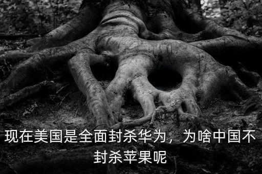 現(xiàn)在美國是全面封殺華為，為啥中國不封殺蘋果呢