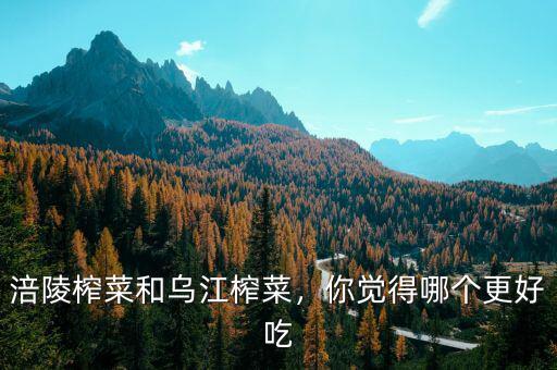 涪陵榨菜和烏江榨菜，你覺得哪個更好吃