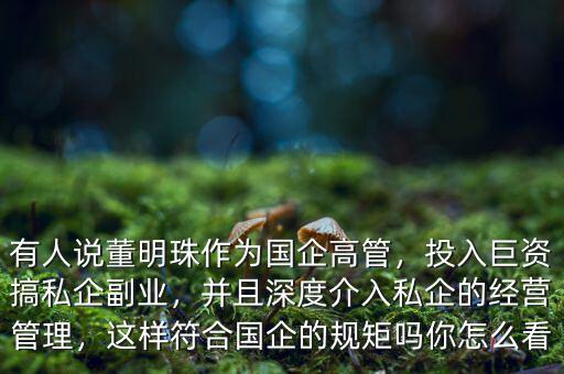 有人說董明珠作為國企高管，投入巨資搞私企副業(yè)，并且深度介入私企的經營管理，這樣符合國企的規(guī)矩嗎你怎么看