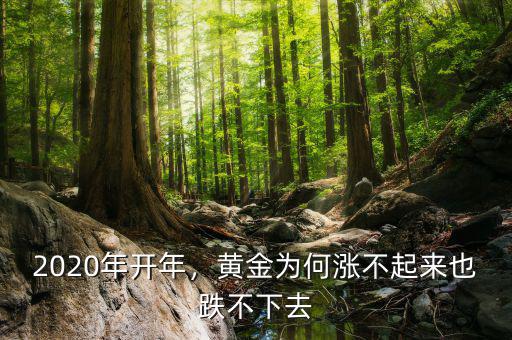 2020年開年，黃金為何漲不起來也跌不下去