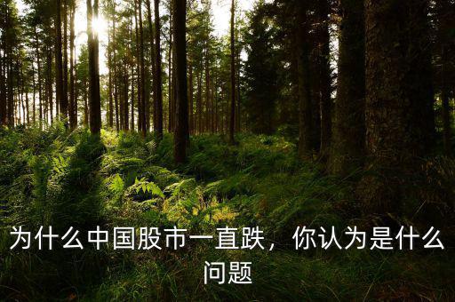 為什么中國(guó)股市一直跌，你認(rèn)為是什么問(wèn)題