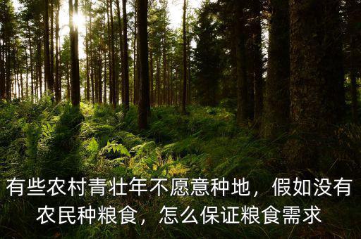 有些農(nóng)村青壯年不愿意種地，假如沒有農(nóng)民種糧食，怎么保證糧食需求