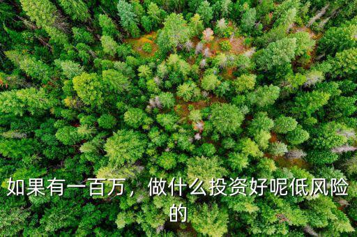 如果有一百萬，做什么投資好呢低風(fēng)險的