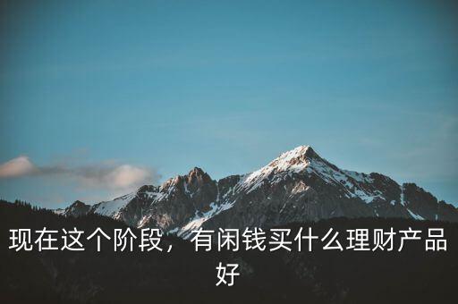 現(xiàn)在這個階段，有閑錢買什么理財產品好