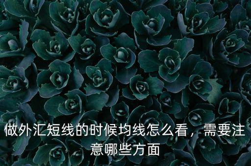 做外匯短線的時(shí)候均線怎么看，需要注意哪些方面