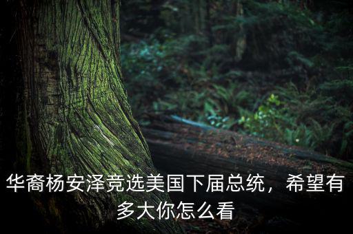 華裔楊安澤競選美國下屆總統(tǒng)，希望有多大你怎么看