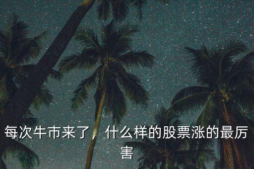 每次牛市來了，什么樣的股票漲的最厲害