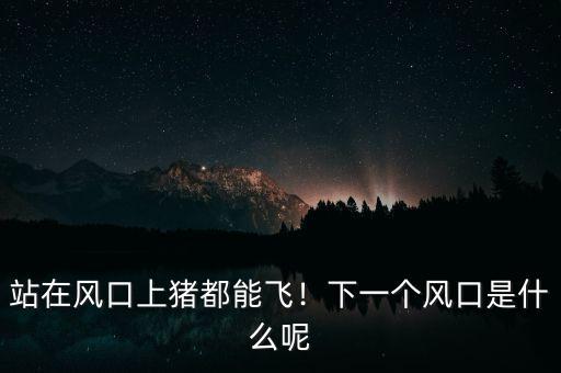 站在風(fēng)口上豬都能飛！下一個風(fēng)口是什么呢