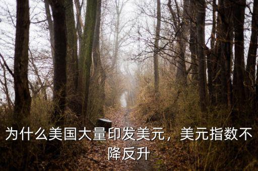 為什么美國大量印發(fā)美元，美元指數(shù)不降反升