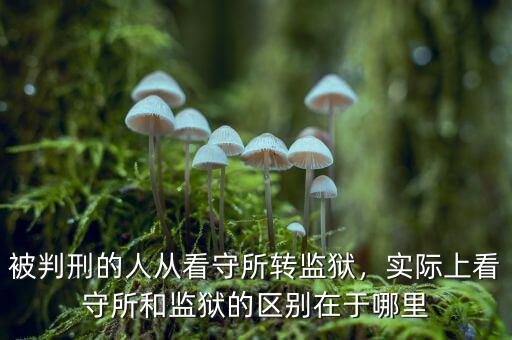 被判刑的人從看守所轉(zhuǎn)監(jiān)獄，實(shí)際上看守所和監(jiān)獄的區(qū)別在于哪里