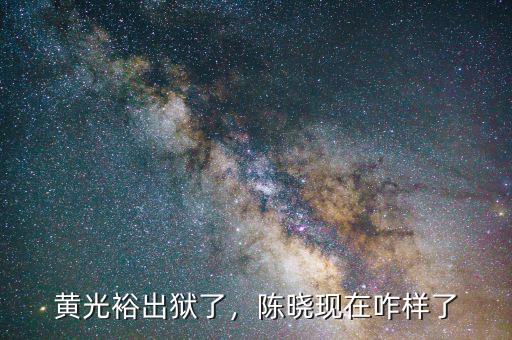 原國美的陳曉2015現在在干什么,原國美陳曉現在何處