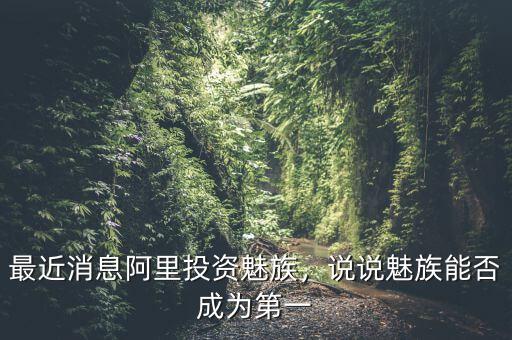 最近消息阿里投資魅族，說說魅族能否成為第一