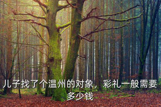 兒子找了個(gè)溫州的對(duì)象，彩禮一般需要多少錢