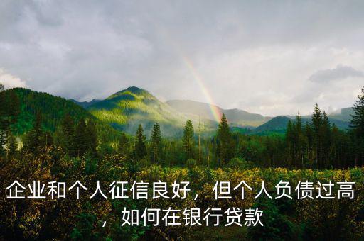 企業(yè)和個人征信良好，但個人負(fù)債過高，如何在銀行貸款
