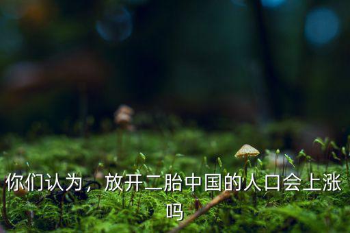 你們認(rèn)為，放開(kāi)二胎中國(guó)的人口會(huì)上漲嗎