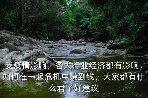 受疫情影響，各大行業(yè)經(jīng)濟(jì)都有影響，如何在一起危機(jī)中賺到錢，大家都有什么君子好建議