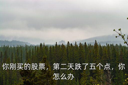 你剛買的股票，第二天跌了五個點，你怎么辦