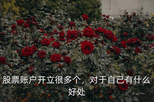 股票賬戶開立很多個，對于自己有什么好處