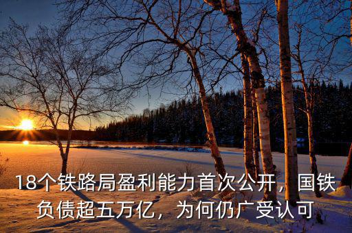 18個鐵路局盈利能力首次公開，國鐵負債超五萬億，為何仍廣受認可