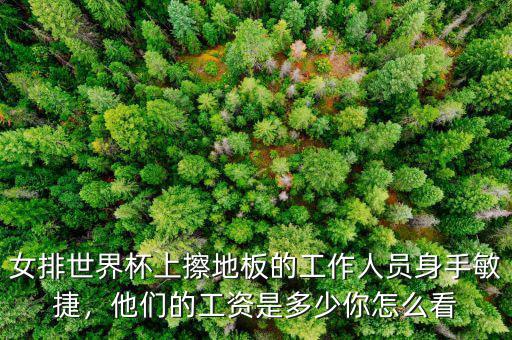 女排世界杯上擦地板的工作人員身手敏捷，他們的工資是多少你怎么看