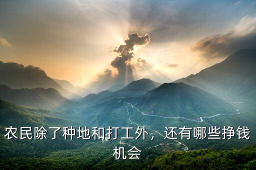農(nóng)民除了種地和打工外，還有哪些掙錢機(jī)會(huì)