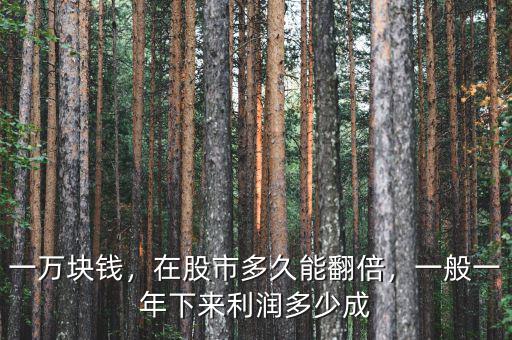 一萬塊錢，在股市多久能翻倍，一般一年下來利潤多少成
