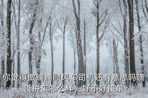 你覺得做滴滴順風(fēng)車司機(jī)還有意思嗎嘀嗒拼車怎么樣，好不好接單
