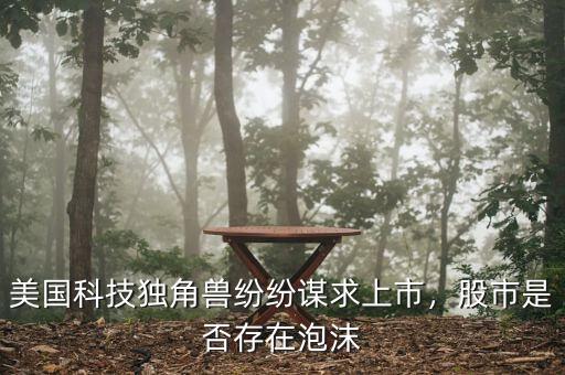 美國科技獨角獸紛紛謀求上市，股市是否存在泡沫