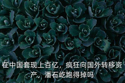 在中國套現(xiàn)上百億，瘋狂向國外轉(zhuǎn)移資產(chǎn)，潘石屹跑得掉嗎
