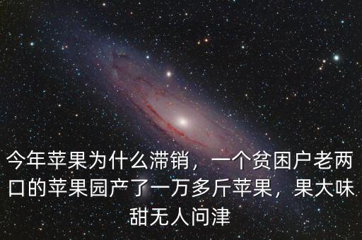 今年蘋果為什么滯銷，一個(gè)貧困戶老兩口的蘋果園產(chǎn)了一萬多斤蘋果，果大味甜無人問津