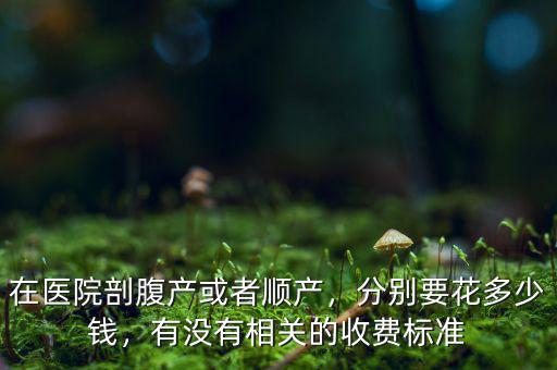 在醫(yī)院剖腹產(chǎn)或者順產(chǎn)，分別要花多少錢，有沒(méi)有相關(guān)的收費(fèi)標(biāo)準(zhǔn)