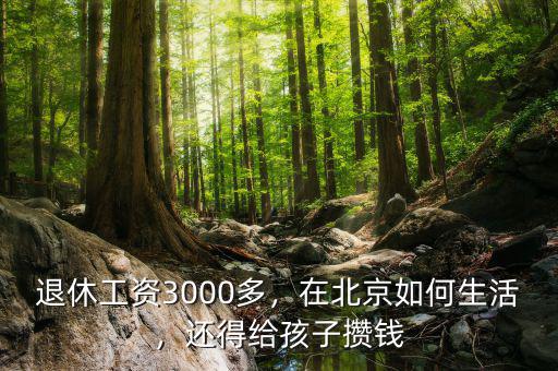 退休工資3000多，在北京如何生活，還得給孩子攢錢