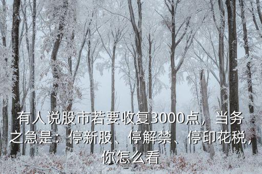 有人說股市若要收復(fù)3000點(diǎn)，當(dāng)務(wù)之急是：停新股、停解禁、停印花稅，你怎么看